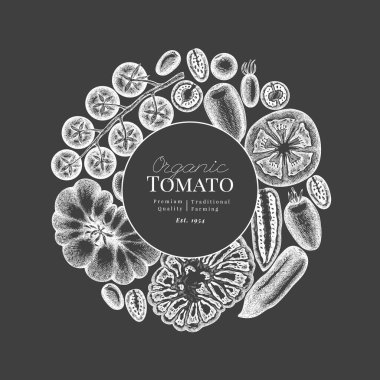 El yapımı tebeşir tahtası domates çizimi. Retro Sebze Tasarım Şablonu. Eski Tarla Yemekleri.