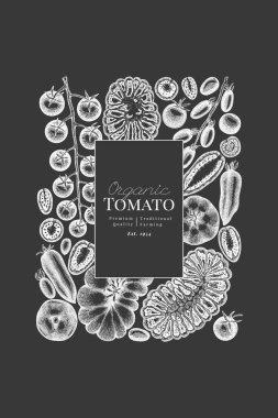 El yapımı tebeşir tahtası domates çizimi. Retro Sebze Tasarım Şablonu. Eski Tarla Yemekleri.