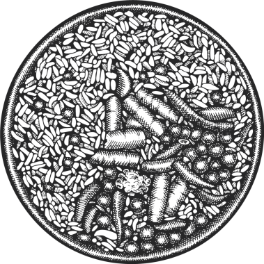 Çin Tabağı İllüstrasyonu. El çizimi izole edilmiş kızartma kasesi. Klasik Asya usulü Kızarmış Pirinç İllüstrasyonu.