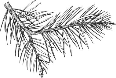 Noel Dekorasyonu El Çizimi Çizimi