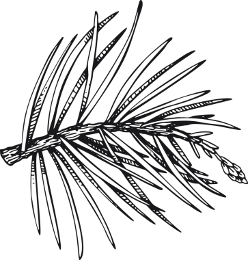 Noel Dekorasyonu El Çizimi Çizimi