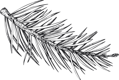 Noel Dekorasyonu El Çizimi Çizimi