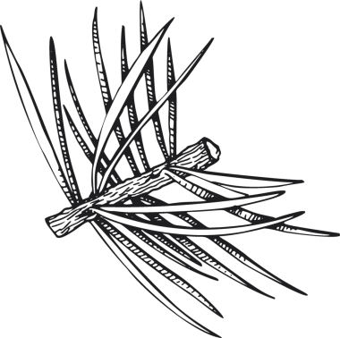 Noel Dekorasyonu El Çizimi Çizimi