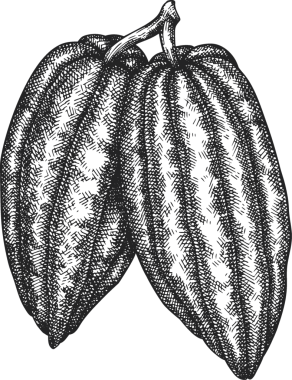 Çikolatalı Kakao Meyveli Çizim