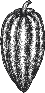 Çikolatalı Kakao Meyveli Çizim