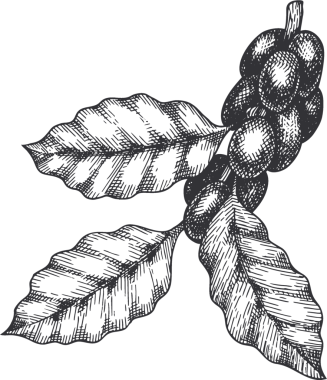 Kahve kupası illüstrasyonu El Çizimi