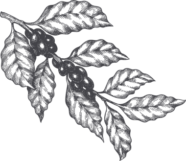 Kahve kupası illüstrasyonu El Çizimi