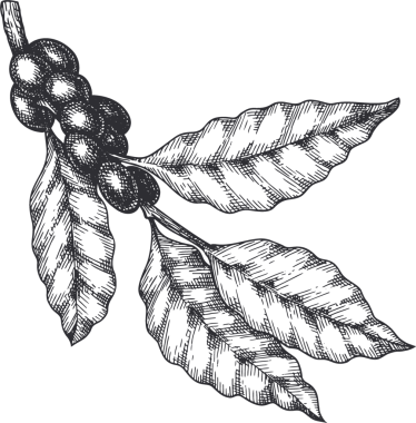 Kahve kupası illüstrasyonu El Çizimi