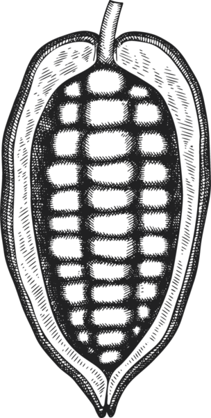 Çikolatalı Kakao Meyveli Çizim