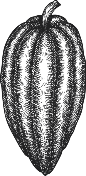 Çikolatalı Kakao Meyveli Çizim