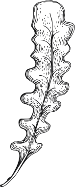 El Çizimi Yosun Çizimi