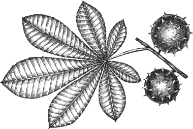 Klasik Kestane Tarzı. El yapımı Şükran Günü Yemeği Dekorasyonu