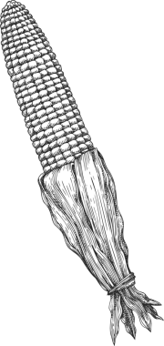 Klasik Mısır Tarzı. El yapımı Şükran Günü Yemeği Çizimi