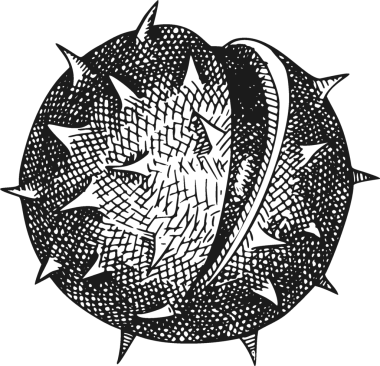 Klasik Kestane Tarzı. El yapımı Şükran Günü Yemeği Dekorasyonu