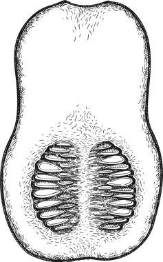 El yapımı Şükran Günü Yemeği Çizimi