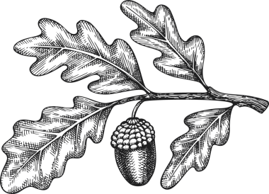 Klasik Stil Meşe Brunch 'ı. El yapımı Şükran Günü Yemeği Dekorasyonu