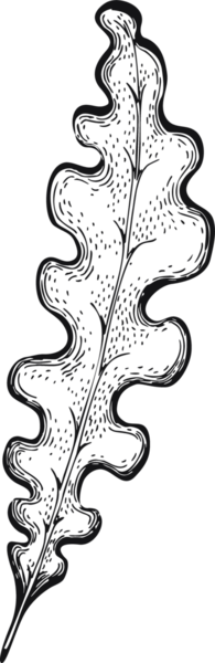 El Çizimi Yosun Çizimi