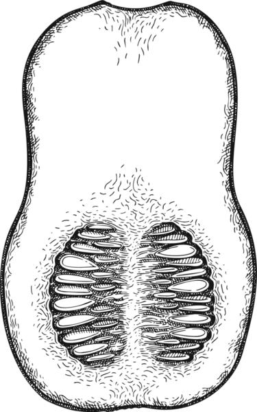 El yapımı Şükran Günü Yemeği Çizimi