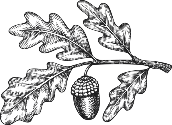 Klasik Stil Meşe Brunch 'ı. El yapımı Şükran Günü Yemeği Dekorasyonu