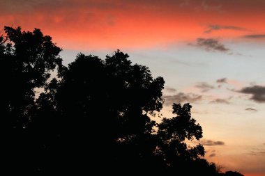 renkli dramatik gökyüzü bulutlu gün batımında.