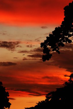 renkli dramatik gökyüzü bulutlu gün batımında.