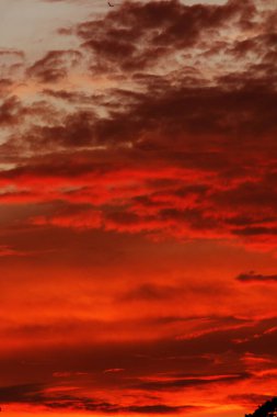 renkli dramatik gökyüzü bulutlu gün batımında.