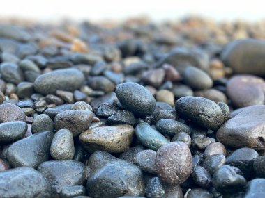 Kısmi odak ve bulanık arkaplan ile ıslak taşların portresi