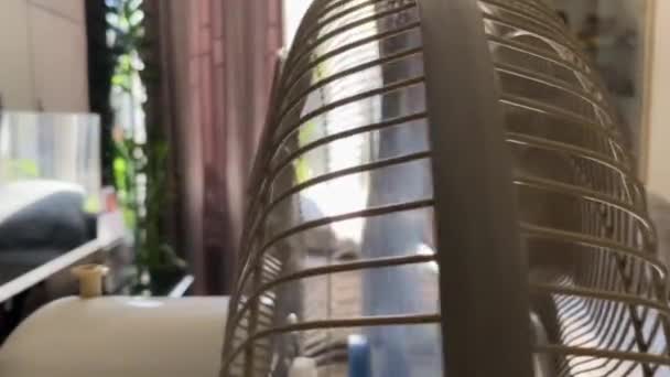 Ventilatorul Electric Podea Din Camera Rotește Pentru Sufla Face Vânt — Videoclip de stoc