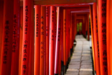 Karmaşık Japon yazılarıyla süslenmiş çarpıcı kırmızı direkler geleneksel sanatı hatırlatan büyüleyici bir görüntü oluşturuyor.