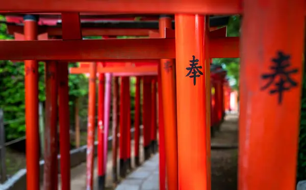 Huzurlu bir tapınakta göze çarpan karmaşık Japon yazılarıyla süslenmiş canlı kırmızı torii kapıları.