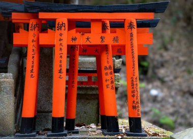 Büyüleyici bir sırada, turuncu tori kapıları karmaşık Japon yazıları ile süslenmiş gururla, kültürel zenginliği ve mirası simgeliyor.