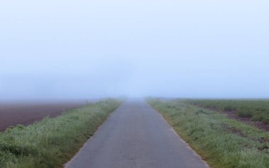 Huzurlu ve huzurlu, sisli bir yol canlı yeşil alanlarla çevrili, gizemli ve sakin bir atmosfer yaratıyor.