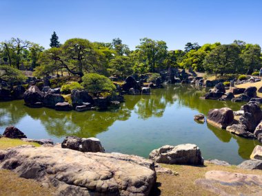 Huzurlu ve huzurlu bir Japon bahçesi sergileniyor. Güzel bir gölet, yemyeşil ve bitki örtüsüyle çevrili.