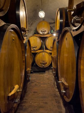 Ahşap şarap fıçıları tarihi bir şarap mahzeninin ahşap rafında durur. Fıçılar iki sıra halinde dizilmiş. Fıçılar açık kahverengi ahşaptan yapılmış ve kenarlarında metal şeritler var..
