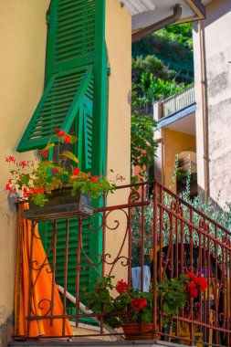 Büyüleyici bir balkon renkli sardunyalar ve yeşil panjurlar içerir. Bu manzaralı yer, taşralı güzelliklerle dolu canlı bir köyde yaşayan kıyı manzarasının özünü yansıtıyor..