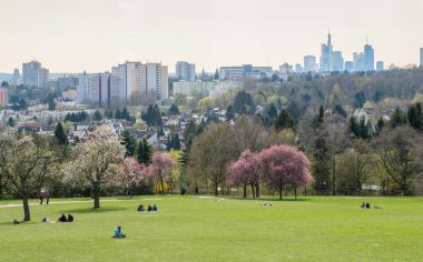 İnsanlar, çiçek açan ağaçlarla çevrili bir şehir parkında çimlerin üzerinde rahatlar. Arka planda gökyüzü manzaralı güneşli bir bahar gününün tadını çıkarırlar..