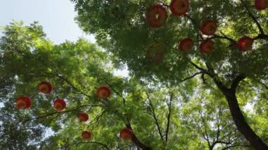 Bright, vibrant red lanterns hang gracefully among the lush greenery of trees beneath a clear, sunny sky