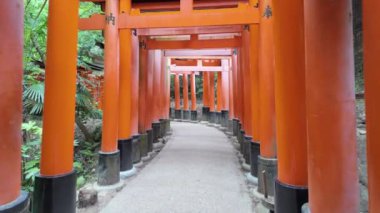 Zengin Shinto geleneklerini sembolize eden ikonik kırmızı torii kapılarıyla güzel bir şekilde sıralanmış sakin bir patika.