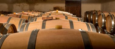 Ahşap fıçılar kırsal bir mahzende duruyor ve kaliteli Fransız şarabı olgunlaşıyor. Atmosfer sıcak, tarihi bir ortamda geleneksel şarap yapma sanatını sergiliyor..