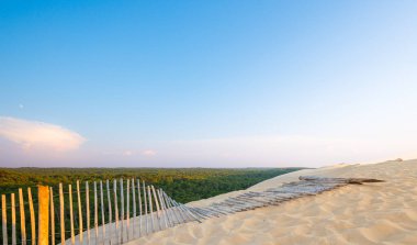 Yanındaki ahşap çitle kumlu bir kum tepesi yavaşça yükselir ve aşağıdaki yoğun yeşil ormanın panoramik görüntüsünü verir. Güneş berrak gökyüzünde batmaya başlar..