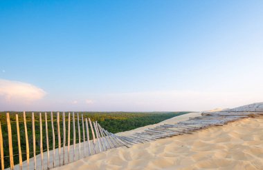 Parlak mavi bir gökyüzünün altında uzanan altın kum tepeleri, uzaktaki yemyeşil bir ormana uzanan ahşap bir çitle çevrili, keşif ve sükuneti davet ediyor..