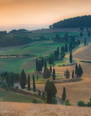 Bereketli yeşil tepeler selvi ağaçlarıyla kaplı. Resmedilmeye değer bir manzara yaratıyorlar. Dolambaçlı bir yol, alacakaranlıkta sakin manzaranın içinden geçiyor, güzellikleri gözler önüne seriyor..