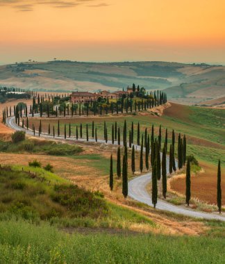 Toskana 'nın yuvarlanan tepeleri selvi ağaçlarıyla süslenir, kıvrımlı yollar kırsal evlere götürür güneş batar batmaz, kırsal kesimde güzel, sakin bir atmosfer yaratır..
