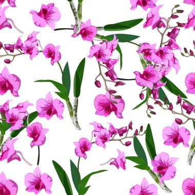 Güzel mor orkide çiçekleri (Dendrobium) pürüzsüz desenli arka plan. vektör illüstrasyonu.