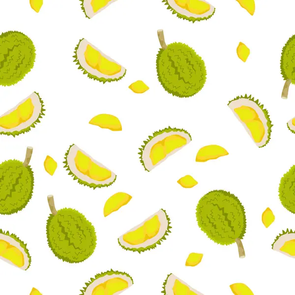 Durian 'ın kusursuz bir örneği. vektör illüstrasyonu.