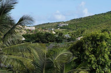 Sint Maarten 'deki Karayip manzarası. Yüksek kalite fotoğraf