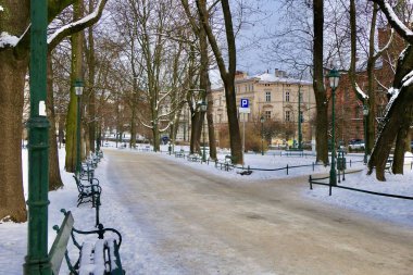 Ağaçlar çıplak ve kar, ocak ayında bu sakin Krakow parkında yol boyunca ilerliyor..