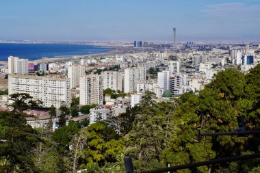 Cezayir şehrinin modern gökdelenleri yeşillik ile kaplanırken, füniküler limandan Şehitler Anıtı 'na uzanan limana bakılıyor..