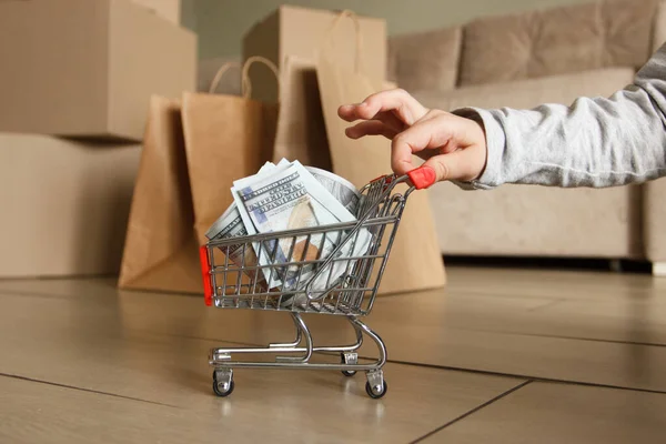 Hand Holds Little Shopping Cart American Dollars Concept Payment Online — Foto de Stock
