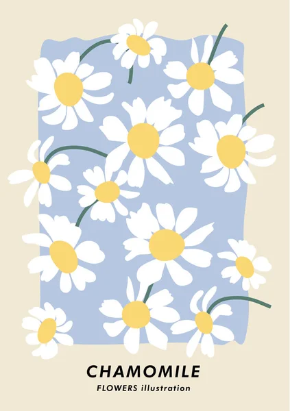 Cartel Botánico Ilustración Vectorial Con Flores Manzanilla Arte Para Postales — Archivo Imágenes Vectoriales